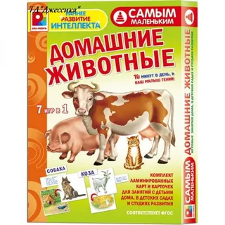 Игра «Домашние животные» из серии «Самым маленьким»