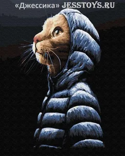 Картина по номерам "Кот в капюшоне" 40*50