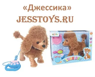 Собака Пудель ходит на поводке (№CL1669B-D)