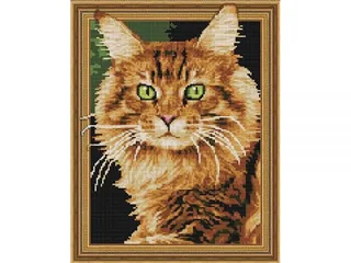 Картина стразами "Мейн-Кун" 40*50