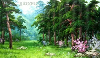 Картина стразами "Лесная краса" 40*50 (№SGА1009)
