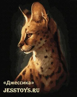 Картина по номерам "Сервал" 40*50