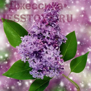 Картина стразами "Ветка сирени" 30*30 (№KM0680)