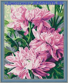 Картина по номерам "Астра" 40*50